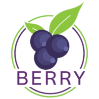 Berry Store Pakistan