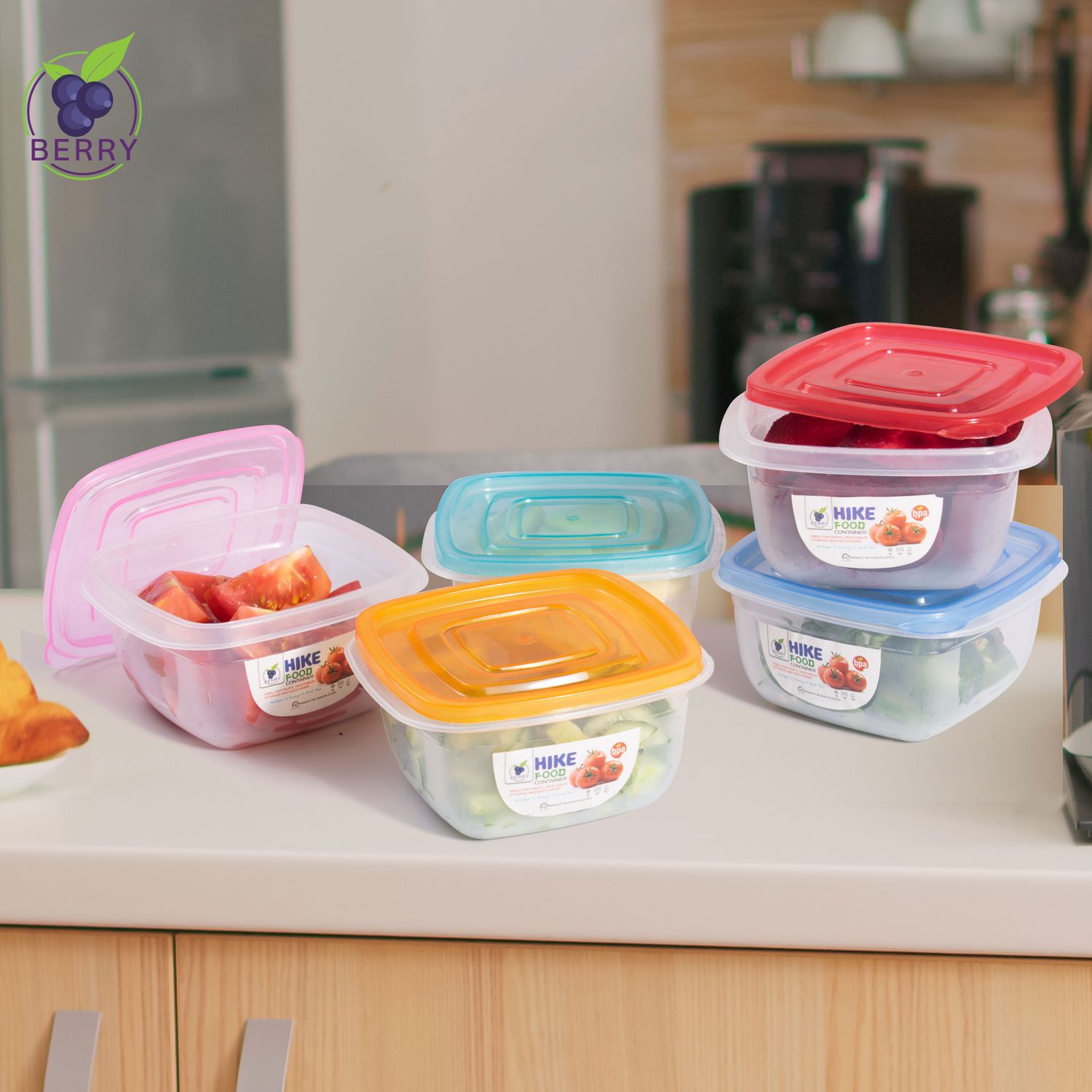 Hike Food Container-Pack of 4